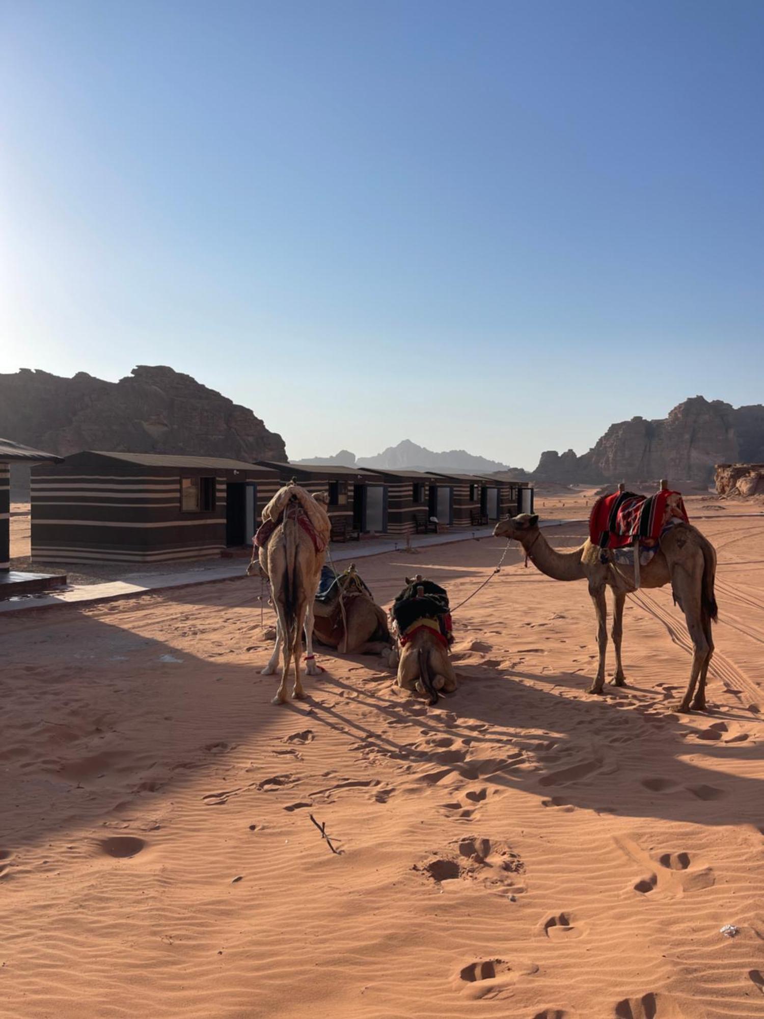 Wadi Rum Star Camp 外观 照片
